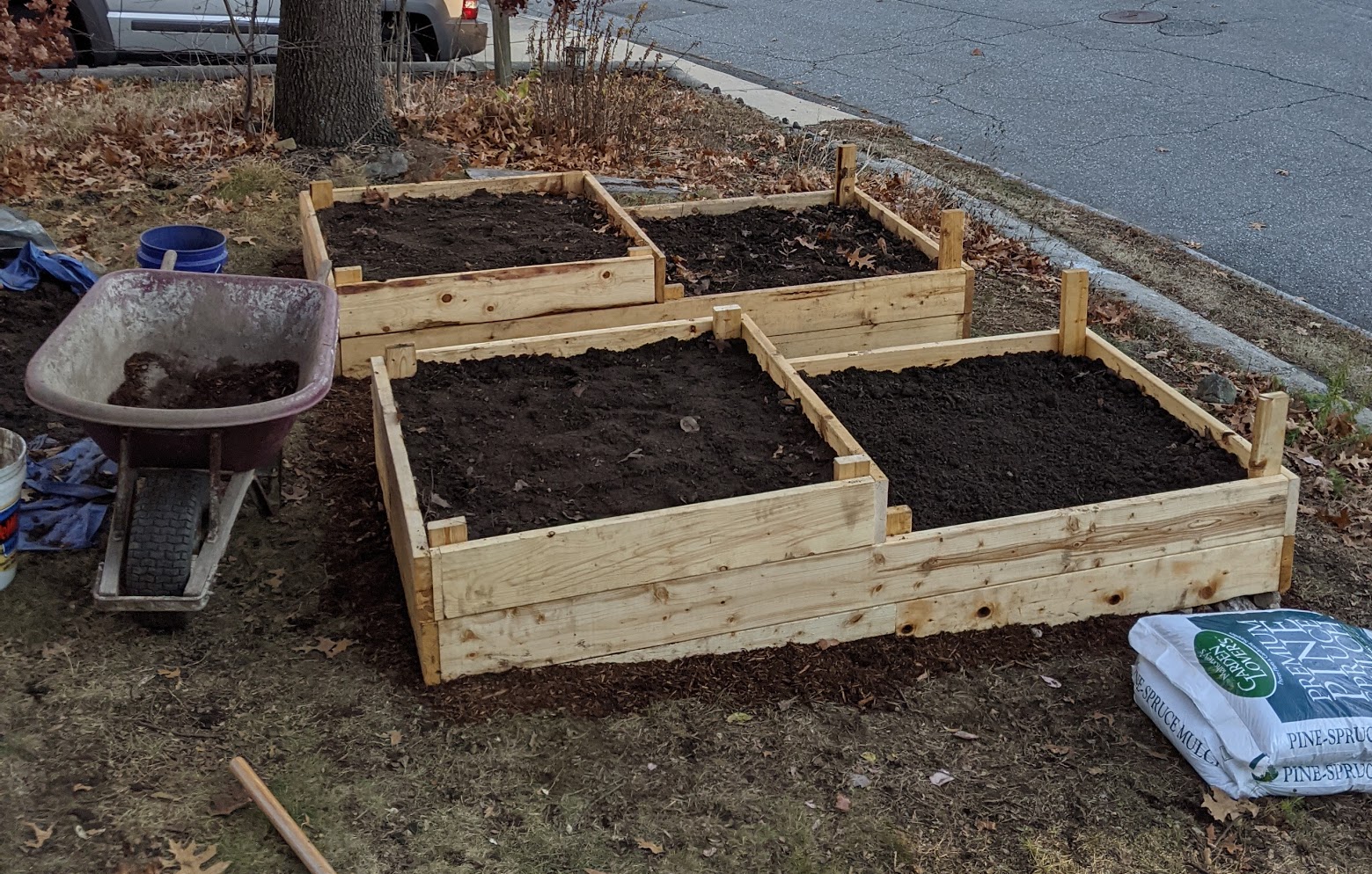 Two raised beds in the front yard